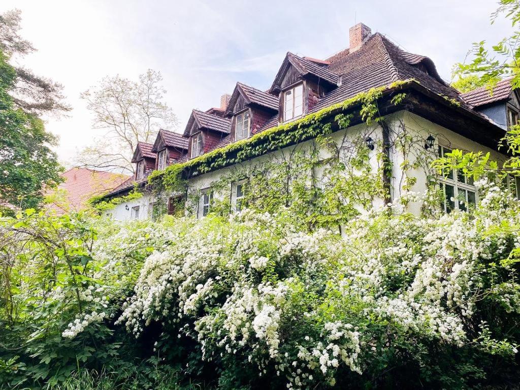 Hotel Zamkowa 4 Lubniewice Exteriér fotografie